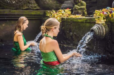 Ubud: Waterfall, Ricefield, Purification Ritual Private Tour - Tegenungan Waterfall: steps, mist, and where photos come easy