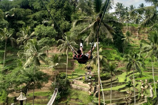 Ubud Waterfall Swing And Spring Temple Private Guided Tour - Happy Swing Bali: the viral stop you control