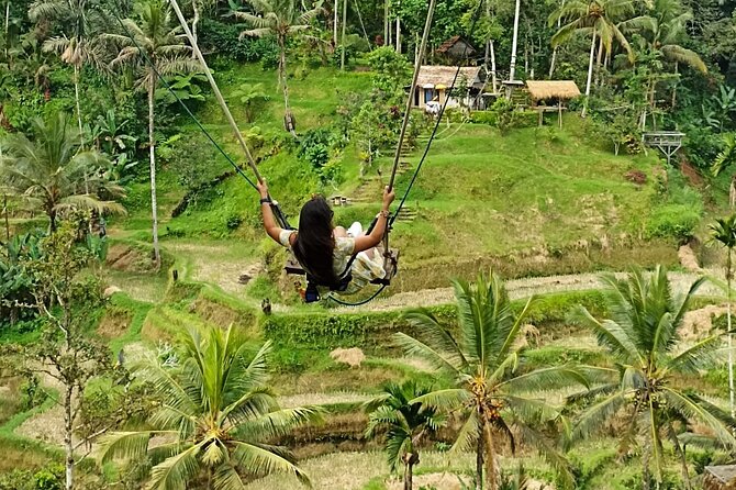 Ubud Waterfall Swing And Spring Temple Private Guided Tour - Tampaksiring village and welcome tea break