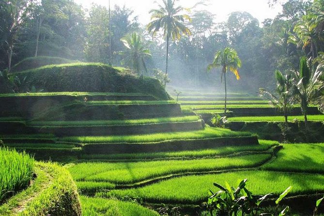 Ubud Waterfall Tour - Pickup and transfers: where good tours quietly win