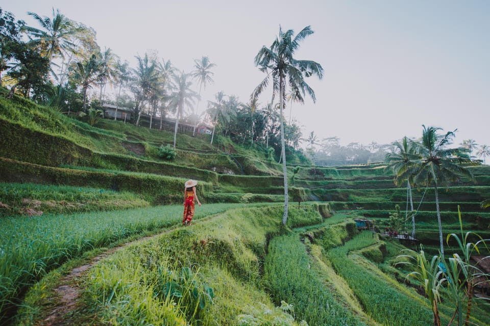 Ubud: Waterfall, Water Temple and Monkey forest Private Tour - Kanto Lampo Waterfall: Jungle Photos and a Refreshing Dip (About 1 Hour)