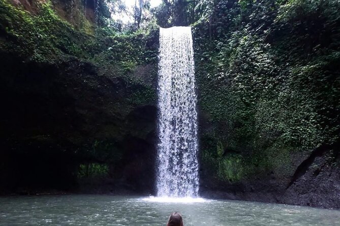 Ubud Waterfalls, Rice Terrace & Jungle Swing - Private Tour - Key things to know before you book