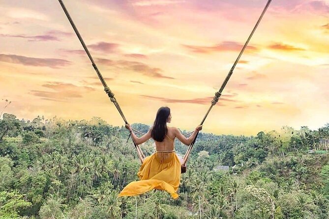 Ubud Waterfalls, Rice Terrace & Jungle Swing - Private Tour - Price and Value: What $23.38 Buys for an 8-Hour Day