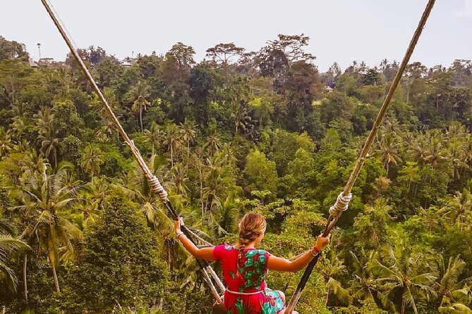 Ubud Waterfalls, Rice Terrace & Jungle Swing - Private Tour - What Makes the Day Feel Smooth (and Why the Guide Matters)