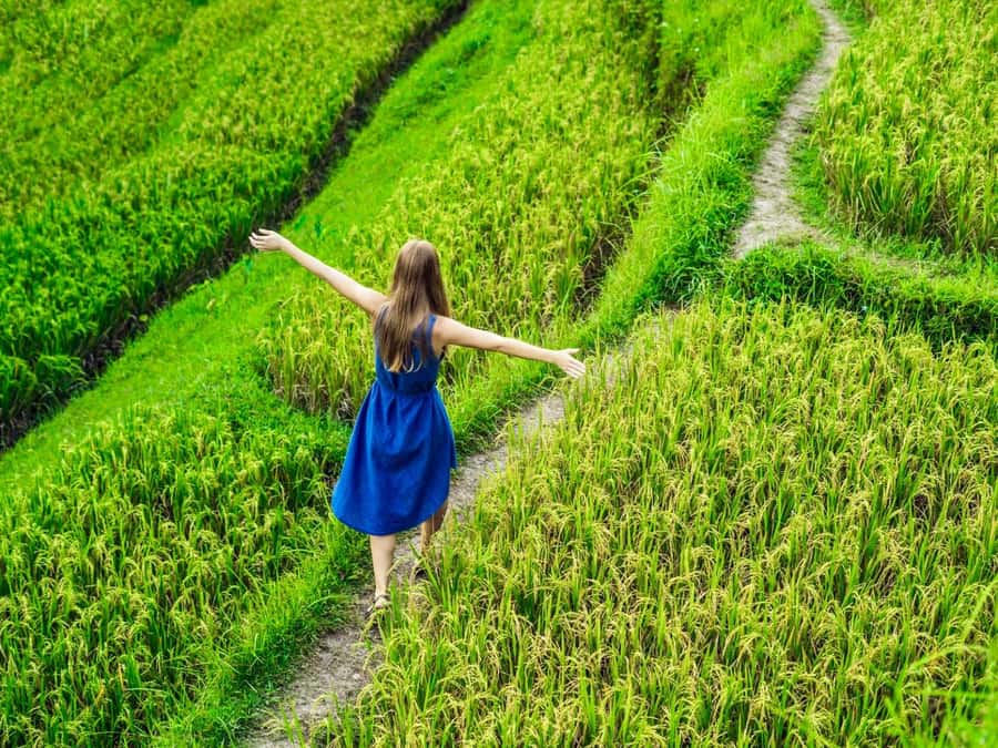 Ubud: Waterfalls, Sacred Monkey Forest & Rice Terraces Tour - Key things I’d circle before you book