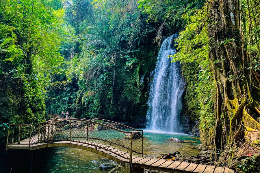 Ubud: Waterfalls, Sacred Monkey Forest & Rice Terraces Tour - A Ubud day that feels efficient, not rushed, and priced like a deal