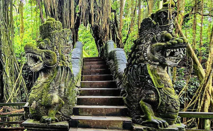 Ubud: Waterfalls, Sacred Monkey Forest & Rice Terraces Tour - Price and logistics: what $19 really buys you (and what to budget)