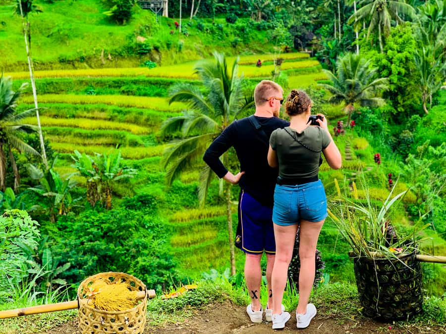 Ubud: Waterfalls, Sacred Monkey Forest & Rice Terraces Tour - Choosing this operator: punctual guides are the difference-maker