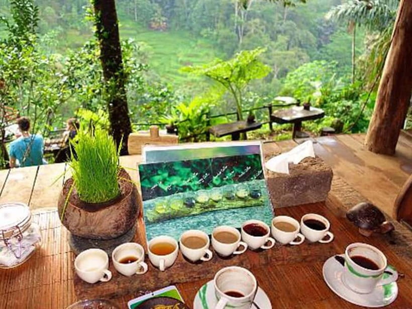 Ubud: Waterfalls, Temple, and Rice Terrace Private Day Tour - What’s included, what isn’t, and how to plan your money