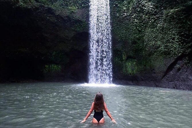 Ubud Waterfalls, Temple and Rice Terrace - Private Tour - Quick highlights you’ll actually care about