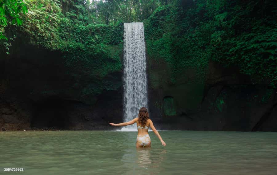 Ubud: Waterfalls, Temple, Monkey Forest Private Tour - A private Ubud day built around the real Bali rhythm