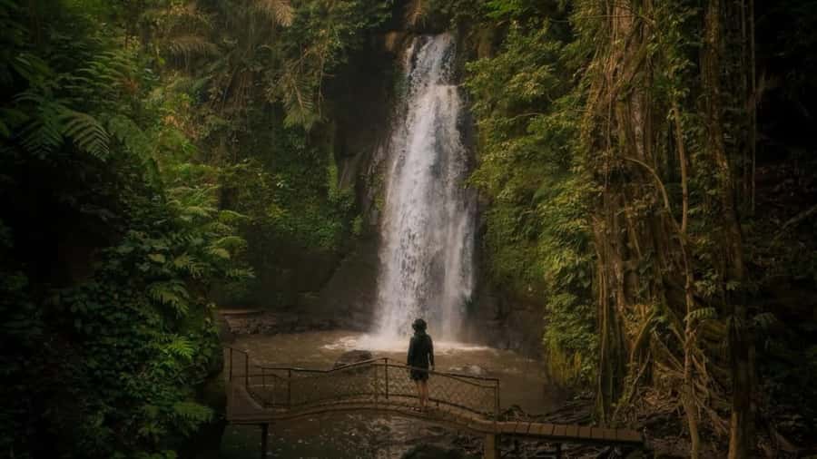 Ubud: Waterfalls, Temple, Monkey Forest Private Tour - Tirta Empul: the holy spring and the melukat purification ritual