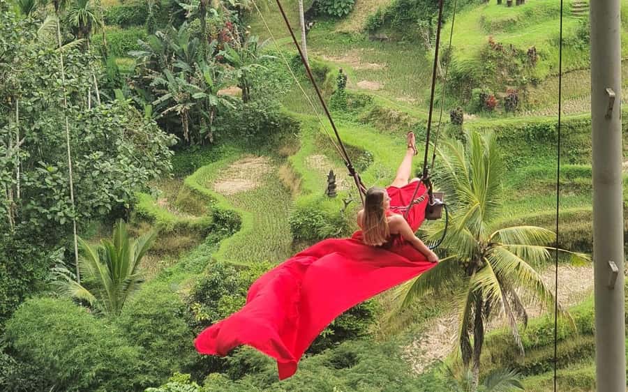 Ubud: Waterfalls, Temple & Rice Terraces Private Tour - Key Highlights You’ll Care About