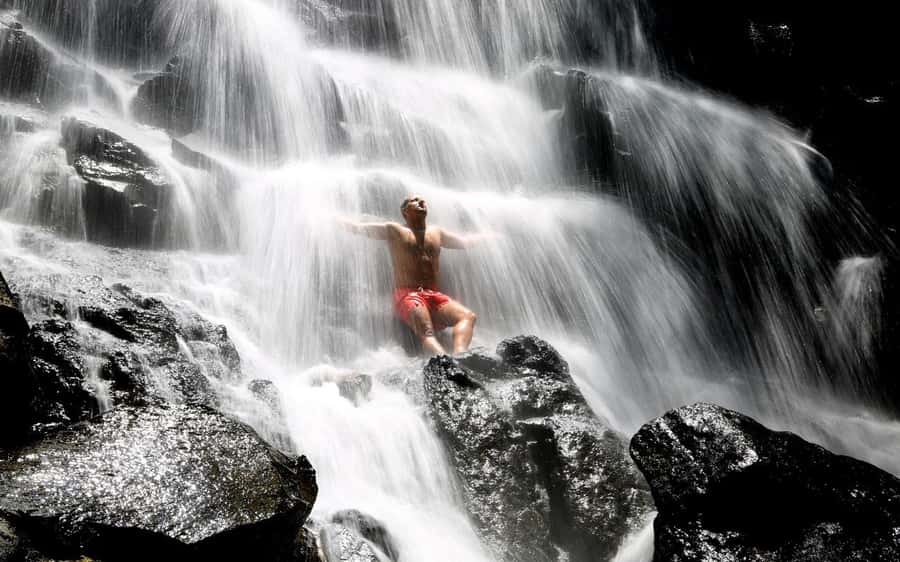 Ubud: Waterfalls, Temple & Rice Terraces Private Tour - Who Should Book This Tour (and Who Should Skip It)