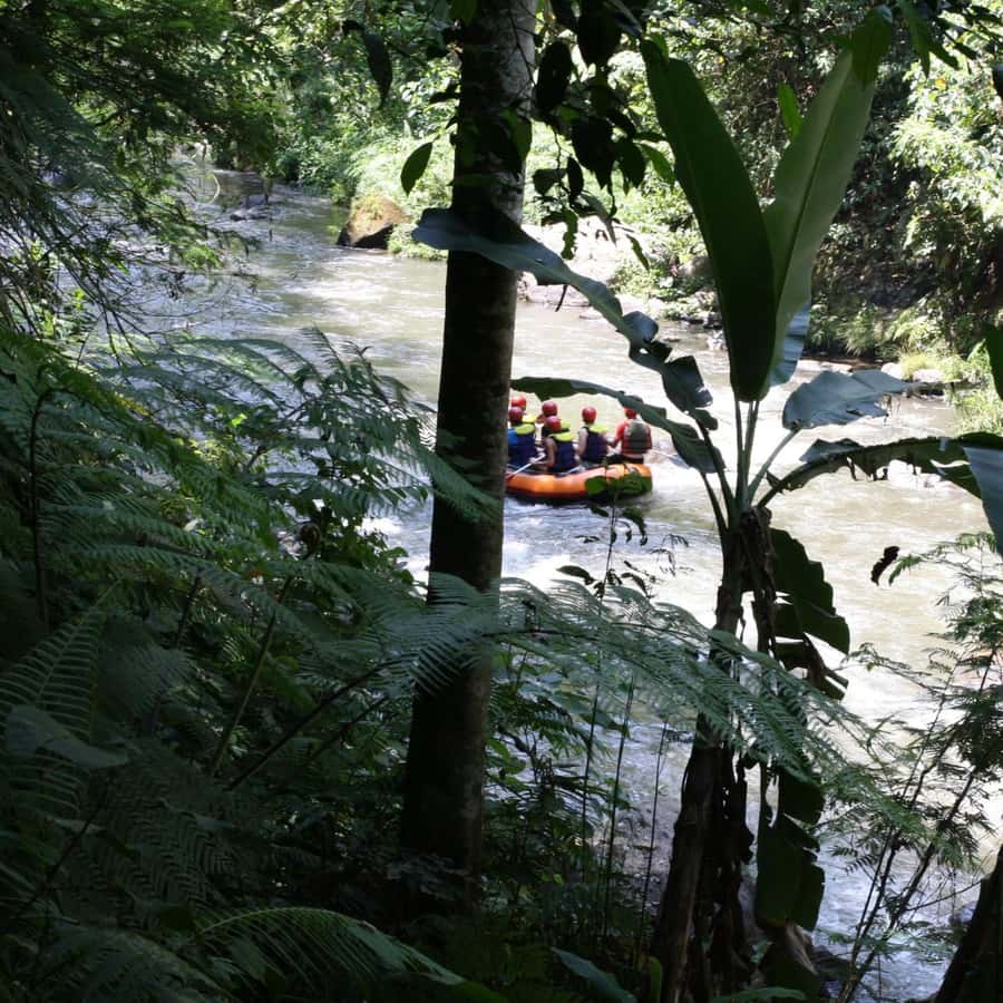 Ubud: White Water Rafting Adventure Tour - Key points to know before you go