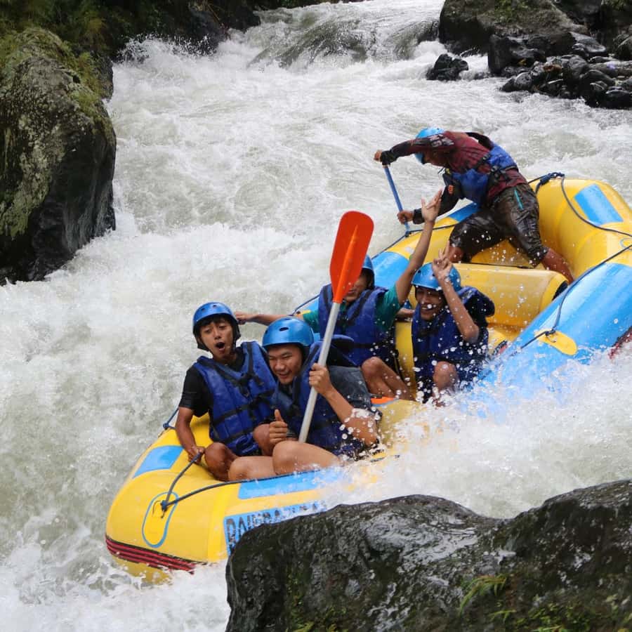 Ubud: White Water Rafting Adventure Tour - The rafting run: jungle views, hidden falls, and quick adrenaline