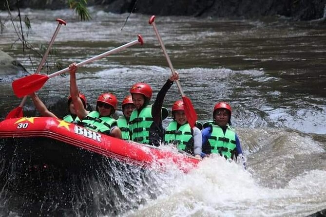 Ubud White Water Rafting on the Ayung River with Pickup & Lunch - Who should book this Ayung rafting trip