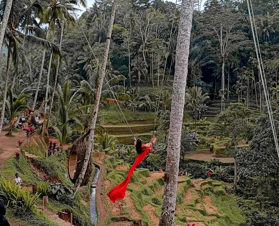 Ubud White Water Rafting with Lunch Included - Ayung River Rapids: What the 2.5 Hours Feels Like