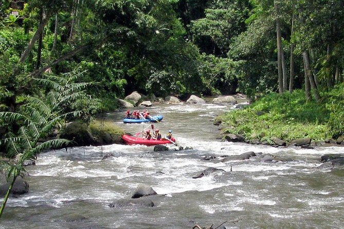 Ubud White Water Rafting with Waterfall and Lunch - Logistics Check: Pickup Timing and Weather Reality