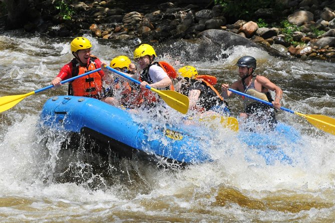 Ubud White Water Rafting with Waterfall and Lunch - Who Should Book This Ubud Rafting Trip (and Who Might Pass)