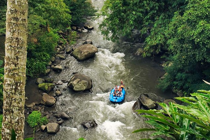 Ubud White Water Rafting with Waterfall and Lunch - Safety First on the Ayung: Guides, Helmets, and Real Confidence