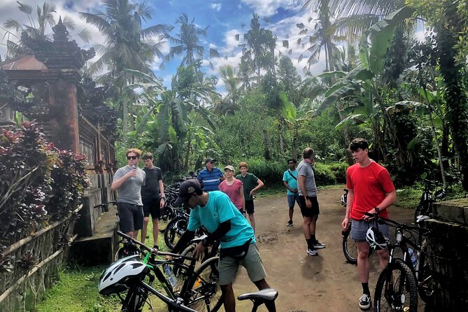 Ubud Wonderful Half Day Downhill Cycling Tour with Lunch - Plantation stop: fruit tasting and how Balinese people use local flora