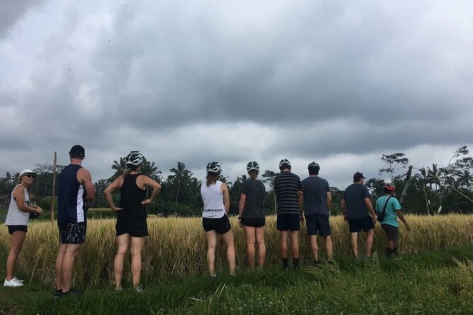 Ubud Wonderful Half Day Downhill Cycling Tour with Lunch - Rice fields, a local-home feel, and temple time