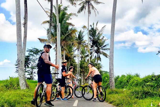 Ubud Wonderful Half Day Downhill Cycling Tour with Lunch - Bike, helmet, and rain cover: small gear that changes everything