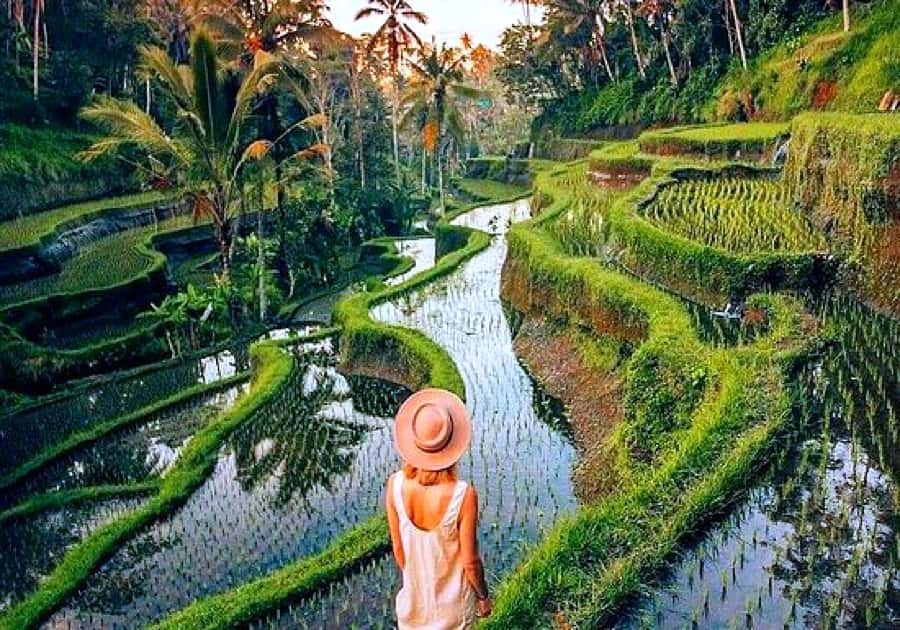 Ubud: Zip-line Adventure, River Rafting & Rice Terraces Tour - Who this tour suits (and who should skip it)