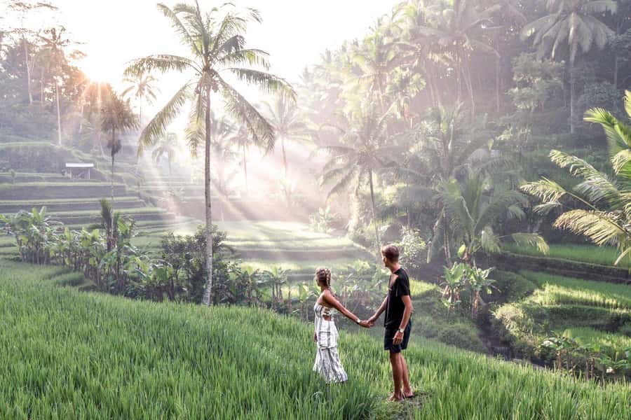 Ubud: Zip-line Adventure, River Rafting & Rice Terraces Tour - Zip-line over Ubud jungle: what the 15 minutes is really like