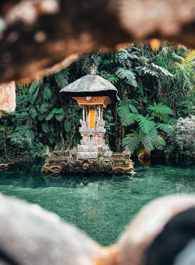 Ubud:Monkey Forest, Rice Terraces, Water Temples, Waterfalls - Key highlights worth your attention