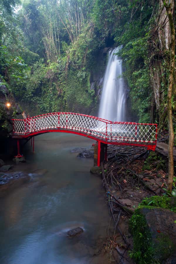 Ubud:Monkey Forest, Rice Terraces, Water Temples, Waterfalls - Sacred Monkey Forest Sanctuary: fun, but don’t treat it like a zoo