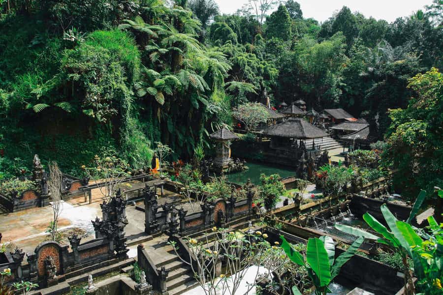 Ubud:Monkey Forest, Rice Terraces, Water Temples, Waterfalls - Tegalalang Rice Terraces: the views plus the option to add adrenaline