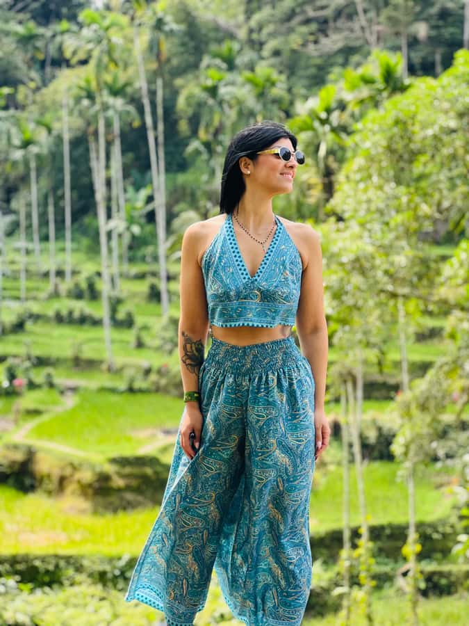 Ubud:Monkey Forest, Rice Terraces, Water Temples, Waterfalls - Price and logistics: does $19 per person make sense?