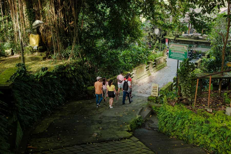 Ubud's Journey from Past to Present - Museum Puri Lukisan: The Palace of Paintings and the Balinese-Western Link