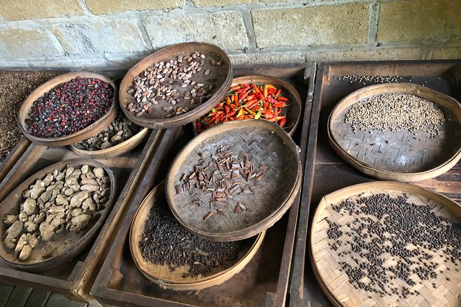 Ultimate Ubud - Your guide, your day: private transport, real explanations, and one caution