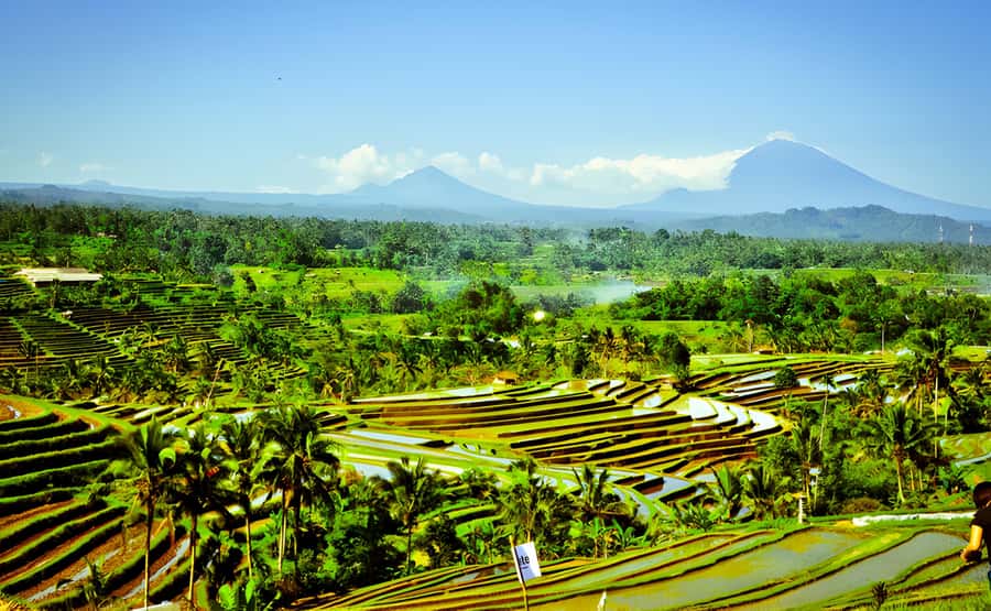 Ulun Danu Beratan, Jatiluwih, & Tanah Lot Private Tour - Tanah Lot Temple: wave-washed drama and photo-friendly timing