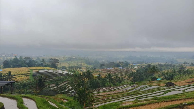 Ulun Danu Beratan Temple, Jatiluwih, Banyumala waterfall - Price and logistics: is $35 per person good value?