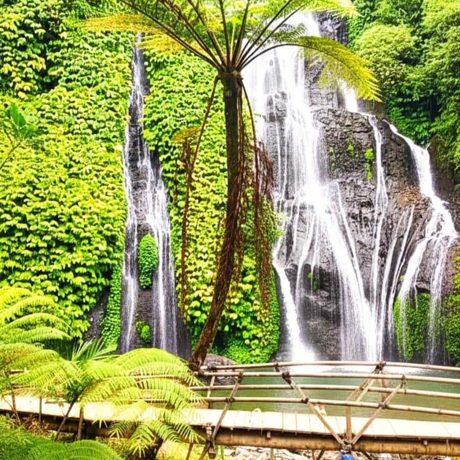 Ulun Danu, Handara Gate & Banyumala – Private Highlands Tour - Key highlights at a glance