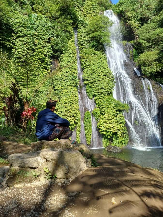 Ulun Danu, Handara Gate & Banyumala – Private Highlands Tour - Price and what you actually pay for: $36 plus tickets