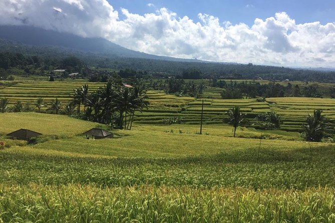 UNESCO World Heritage Tour - Bedugul day drive to Ulun Danu Bratan Temple by Lake Beratan