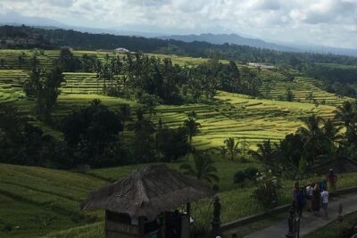 UNESCO World Heritage Tour - Taman Ayun Temple: A calm start with Balinese sacred architecture