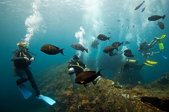 USS Liberty Shipwreck Scuba Diving at Tulamben Bali - Price and Logistics: What $109.50 Buys You in the Real World