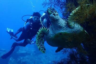 USS Liberty Shipwreck Scuba Diving at Tulamben Bali - The Day Starts With Coaching, Not Chaos