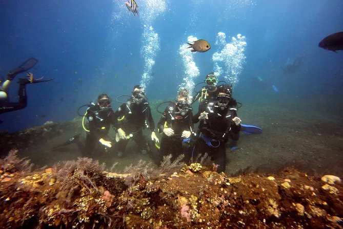 USS Liberty Shipwreck Scuba Diving at Tulamben Bali - Equipment, Photos, and Money-Saving Choices