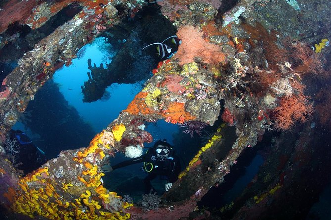 USS Liberty Shipwreck Scuba Diving at Tulamben Bali - Who This Tour Fits Best (and Who Should Check First)