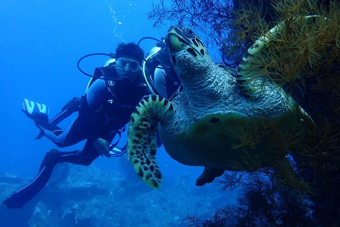 USS Liberty Shipwreck Scuba Diving at Tulamben Bali - The Day Starts With Coaching, Not Chaos