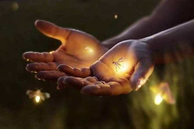 VIllage Firefly Night Tour - Ubud Bali - Key things that make this tour worth your time