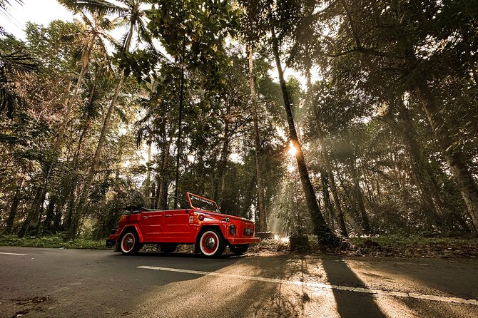 Vintage Volkswagen Bali Tour - Stop 1: Tirta Empul Temple and the purification ritual