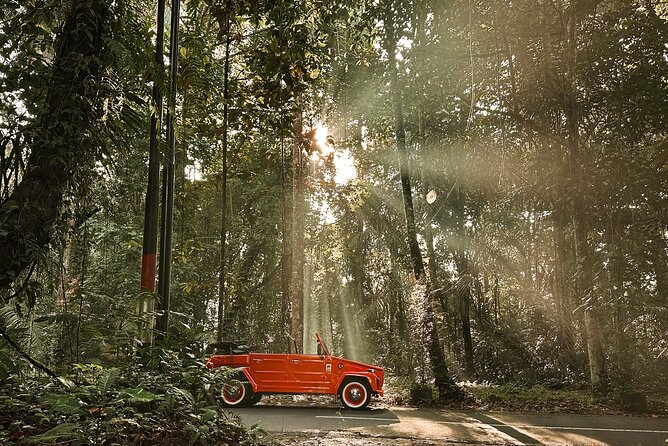 Vintage Volkswagen Bali Tour - Stop 2: Tegenungan Waterfall with swim time